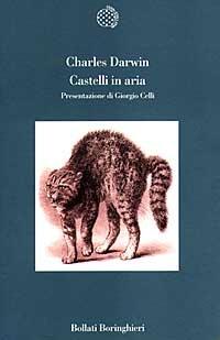 Castelli in aria. Taccuini M. N. Profilo di un bambino - Charles Darwin - Libro Bollati Boringhieri 1997, Variantine | Libraccio.it