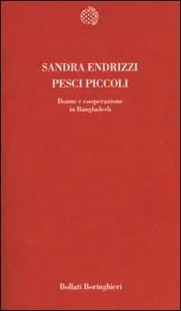 Pesci piccoli. Donne e cooperazione in Bangladesh - Sandra Endrizzi - Libro Bollati Boringhieri 2002, Temi | Libraccio.it