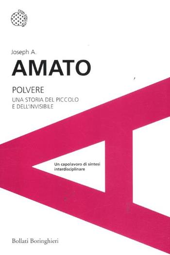Polvere. Una storia del piccolo e dell'invisibile - Joseph A. Amato - Libro Bollati Boringhieri 2012, I grandi pensatori | Libraccio.it