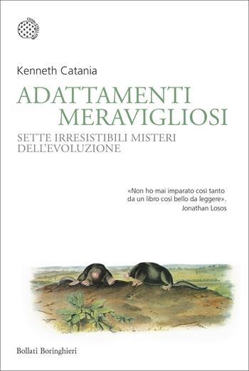 Adattamenti meravigliosi. Sette irresistibili misteri dell'evoluzione - Kenneth Catania - Libro Bollati Boringhieri 2021, Nuovi saggi Bollati Boringhieri | Libraccio.it