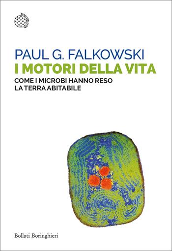 I motori della vita. Come i microbi hanno reso la terra abitabile - Paul G. Falkowski - Libro Bollati Boringhieri 2022, Saggi tascabili | Libraccio.it