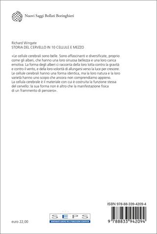 Storia del cervello in 10 cellule e mezzo - Richard Wingate - Libro Bollati Boringhieri 2023, Nuovi saggi Bollati Boringhieri | Libraccio.it