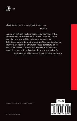 L'Uno. L'idea antica che contiene il futuro della fisica - Heinrich Päs - Libro Bollati Boringhieri 2024, Saggi | Libraccio.it