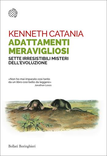 Adattamenti meravigliosi. Sette irresistibili misteri dell'evoluzione - Kenneth Catania - Libro Bollati Boringhieri 2025, Saggi tascabili | Libraccio.it
