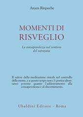 Momenti di risveglio. La consapevolezza nel sentiero del vajrayana