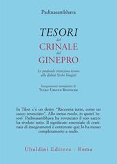 Tesori dal crinale del ginepro. Le profonde istruzioni-tesoro alla dakini Yeshe Tsogyal