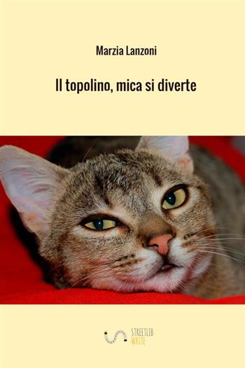Il topolino, mica si diverte - Marzia Lanzoni - Libro StreetLib 2019 | Libraccio.it