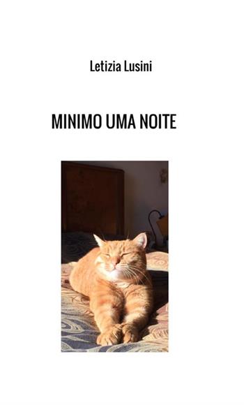 Minimo uma noite - Letizia Lusini - Libro StreetLib 2019 | Libraccio.it