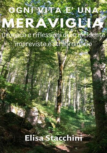 Ogni vita è una meraviglia. Cronaca e riflessioni di un incidente imprevisto e straordinario - Elisa Stacchini - Libro StreetLib 2019 | Libraccio.it