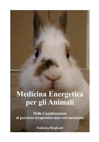 Medicina energetica per gli animali. Dalle canalizzazioni al percorso terapeutico non convenzionale - Federica Brighenti - Libro StreetLib 2019 | Libraccio.it