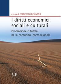 I diritti economici, sociali e culturali. Promozione e tutela nella comunità internazionale  - Libro Vita e Pensiero 2009, Ricerche. Diritti della persona e comunità internazionale | Libraccio.it