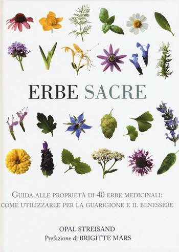 Erbe sacre - Opal Streisand - Libro Armenia 2017, Manualistica | Libraccio.it