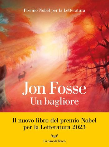 Un bagliore - Jon Fosse - Libro La nave di Teseo 2024, Oceani | Libraccio.it