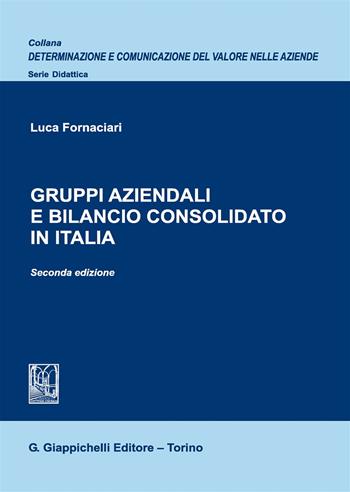 Gruppi aziendali e bilancio consolidato in Italia - Luca Fornaciari - Libro Giappichelli 2017, Determinazione e comunicazione del valore nelle aziende | Libraccio.it