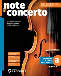 Note in concerto. Corso di musica. Con e-book. Con espansione online. Vol. A-B - Catia Cardillo Piccolino, Cinzia Ponsillo - Libro La Scuola SEI 2024 | Libraccio.it