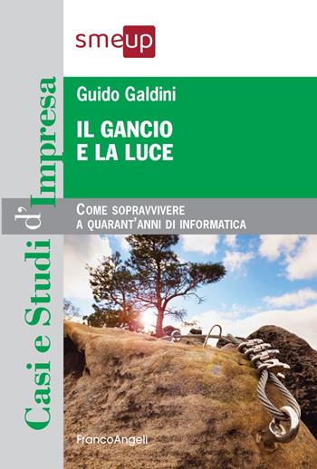 Il gancio e la luce. Come sopravvivere a quarant'anni di informatica - Guido Galdini - Libro Franco Angeli 2022, Casi e studi d'impresa | Libraccio.it