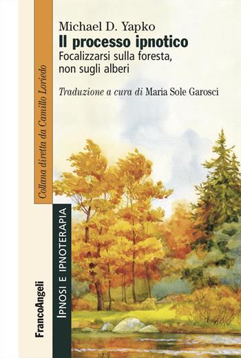 Il processo ipnotico. Focalizzarsi sulla foresta, non sugli alberi - Michael D. Yapko - Libro Franco Angeli 2024, Ipnosi e ipnoterapia | Libraccio.it