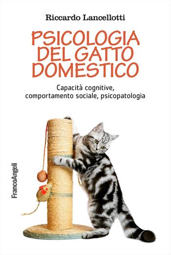 Psicologia del gatto domestico. Capacità cognitive, comportamento sociale, psicopatologia - Riccardo Lancellotti - Libro Franco Angeli 2024, Varie. Saggi e manuali | Libraccio.it