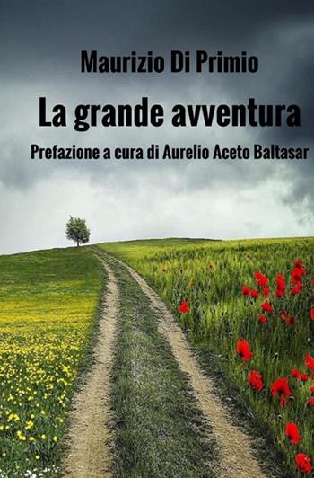 La grande avventura. Le rime di una vita - Maurizio Di Primio - Libro StreetLib 2020 | Libraccio.it