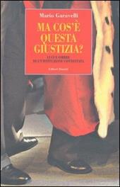 Ma cos'è questa giustizia? Luci e ombre di un'istituzione contestata