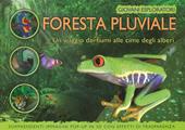 La foresta pluviale. Un viaggio dai fiume alle cime degli alberi. Ediz. a colori