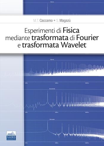 Esperimenti di fisica mediante trasformata di Fourier e trasformata Wavelet - M. T. Caccamo, S. Magazù - Libro Edises 2021 | Libraccio.it