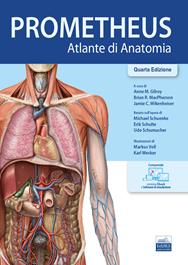 Prometheus. Atlante di anatomia  - Libro Edises 2023 | Libraccio.it