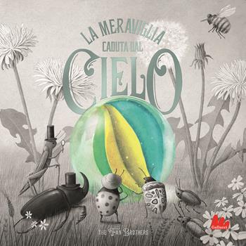 La meraviglia caduta dal cielo. Ediz. a colori - The fan brothers - Libro Gallucci 2021, Gallerìa | Libraccio.it