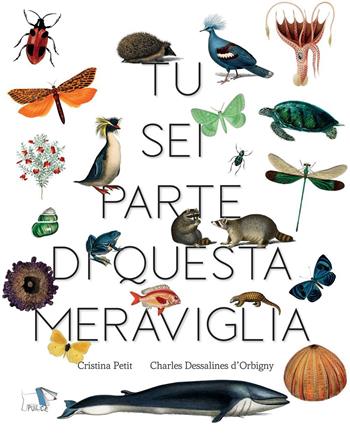 Tu sei parte di questa meraviglia - Cristina Petit - Libro Pulce 2022 | Libraccio.it