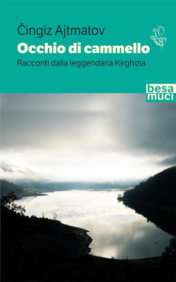 Occhio di cammello. Racconti dalla leggendaria Kirghizia - Cingiz Ajtmatov - Libro Besa muci 2020, Passage | Libraccio.it