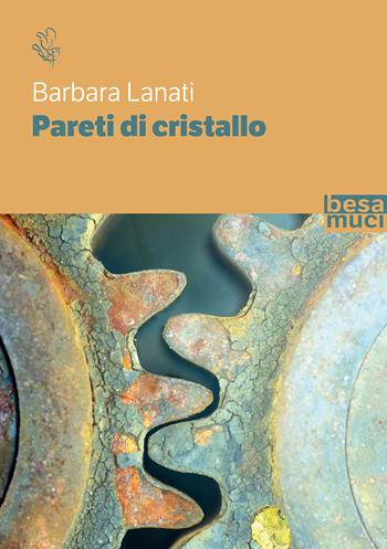 Pareti di cristallo - Barbara Lanati - Libro Besa muci 2022, Riflessi | Libraccio.it
