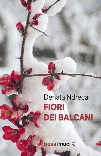 Fiori dei Balcani - Denata Ndreca - Libro Besa muci 2024 | Libraccio.it