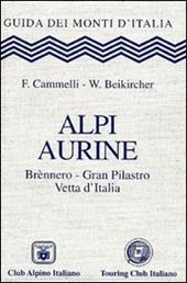 Alpi Aurine. Brennero, Gran Pilastro, Vetta d'Italia