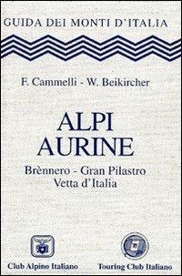 Alpi Aurine. Brennero, Gran Pilastro, Vetta d'Italia - Fabio Cammelli, Werner Beikircher - Libro Touring 2006, Guida dei monti d'Italia | Libraccio.it