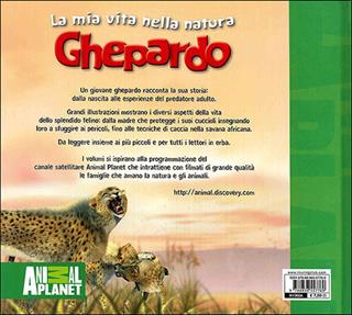 Ghepardo - Meredith Costain - Libro Touring Junior 2012, Animal Planet. La mia vita nella natura | Libraccio.it