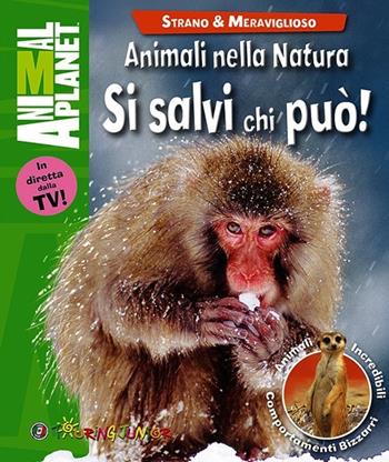 Animali nella natura. Si salvi chi può! - Margaret McPhee - Libro Touring Junior 2014, Animal Planet. Strano e meraviglioso | Libraccio.it
