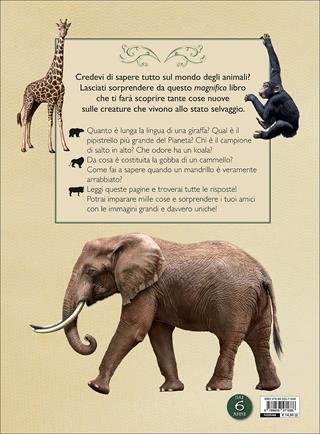 Il magnifico libro degli animali. Ediz. a colori - Tom Jackson - Libro Touring Junior 2017, Divulgazione | Libraccio.it