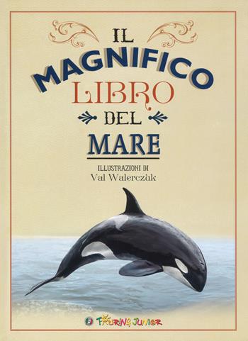 Il magnifico libro del mare - Tom Jackson - Libro Touring Junior 2018 | Libraccio.it