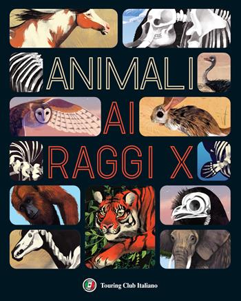 Animali ai raggi X - Jules Howard - Libro Touring 2022 | Libraccio.it