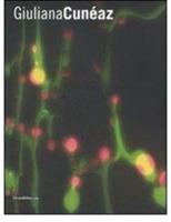 Giuliana Cunéaz. Catalogo della mostra (Torino, 4 marzo-12 aprile 2008). Ediz. italiana e inglese  - Libro Silvana 2008, Arte contemporanea | Libraccio.it