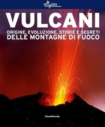 Vulcani. Origine, evoluzione, storie e segreti delle montagne di fuoco. Ediz. illustrata  - Libro Silvana 2016, Cataloghi di mostre | Libraccio.it