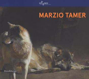 Marzio Tamer. Ediz. italiana e inglese - Stefano Zuffi, Lorenza Salamon - Libro Silvana 2017, Arte | Libraccio.it