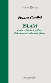 Islam. Come religione e politica dividono una realtà multiforme