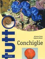 Conchiglie. Ediz. illustrata - Arianna Fulvo, Roberto Nistri - Libro Mondadori Electa 2005, Illustrati. Tutto | Libraccio.it