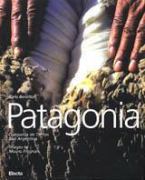 Patagonia. Compañía de Tierras Sud Argentino. Ediz. italiana e inglese - Carlo Benetton, Mauro Fregnan - Libro Mondadori Electa 2004 | Libraccio.it