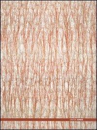 Ghada Amer. Catalogo della mostra (Roma, 25 maggio-30 settembre 2007). Ediz. italiana e inglese  - Libro Electa 2007, Cataloghi di mostre | Libraccio.it