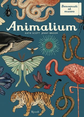 Animalium. Il grande museo degli animali. Ediz. illustrata - Katie Scott, Jenny Broom - Libro Mondadori Electa 2014, Electa Kids | Libraccio.it