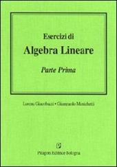 Esercizi di algebra lineare. Vol. 1