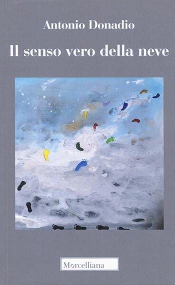 Il senso vero della neve - Antonio Donadio - Libro Morcelliana 2019, Poesie | Libraccio.it