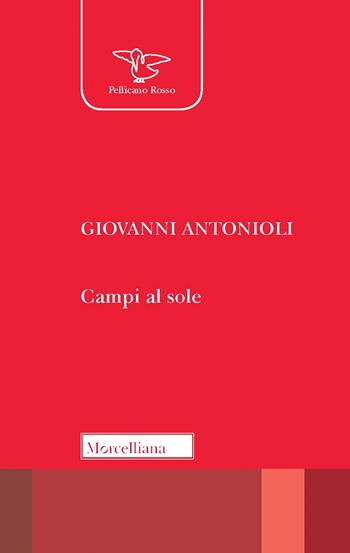 Campi al sole - Giovanni Antonioli - Libro Morcelliana 2022, Il pellicano rosso | Libraccio.it